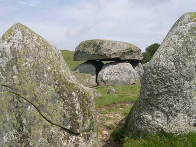 Mellem randstenene. Foto: Søren Nielsen